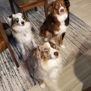 Meet your Posher, Jacklynn